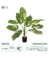 GloboStar® Artificial Garden DIEFFENBACHIA 20941 Τεχνητό Διακοσμητικό Φυτό Πράσινη & Μπεζ Διφενμπάχια Μ80 x Π80 x Υ90cm